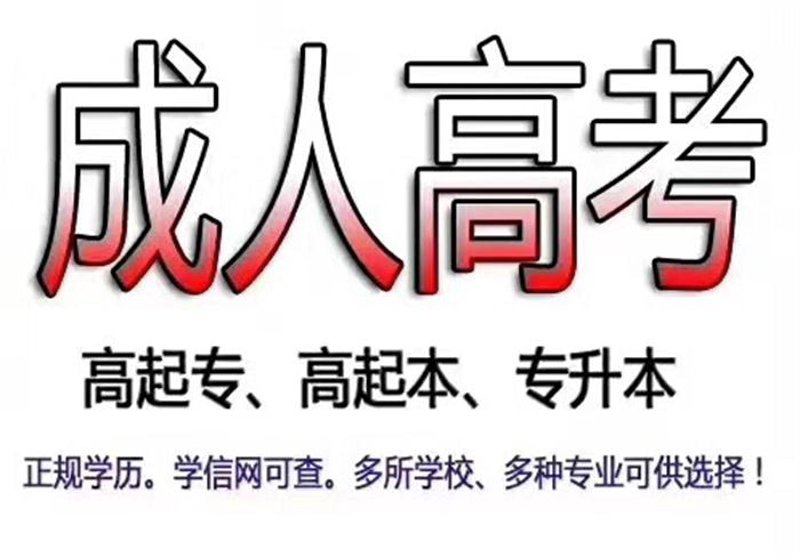 自学考试培训:学习之路上的灯塔